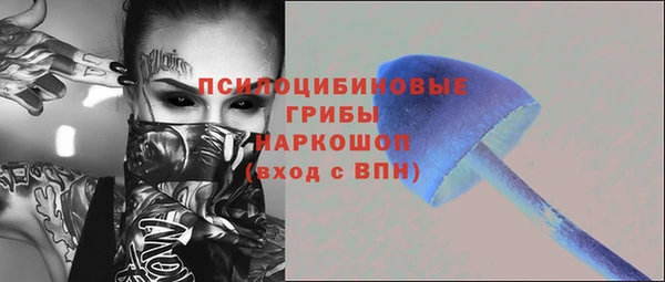 метадон Богородицк