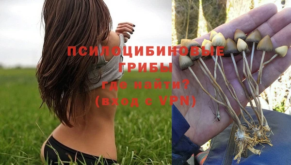 метадон Богородицк