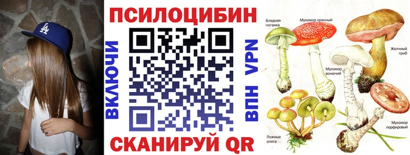 Галлюциногенные грибы прущие грибы  мега tor  Шумиха 